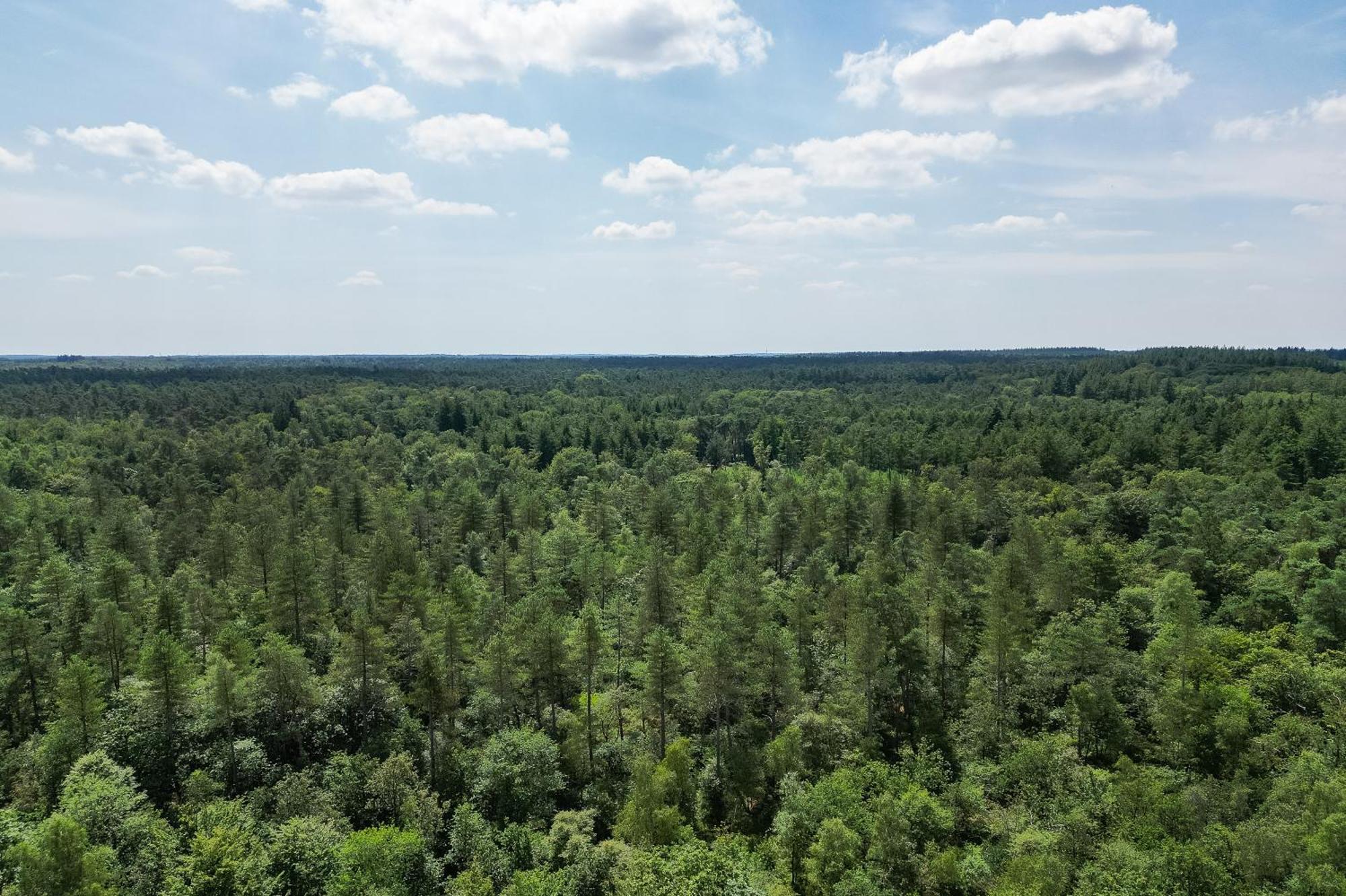 Veluwe Hoenderloo Luxury Chalet With Private Sauna And Hot Tub - Swimming Pool Tennis Court Supermarket Bowling Alley Theatre And Entertainment For Children Ngoại thất bức ảnh